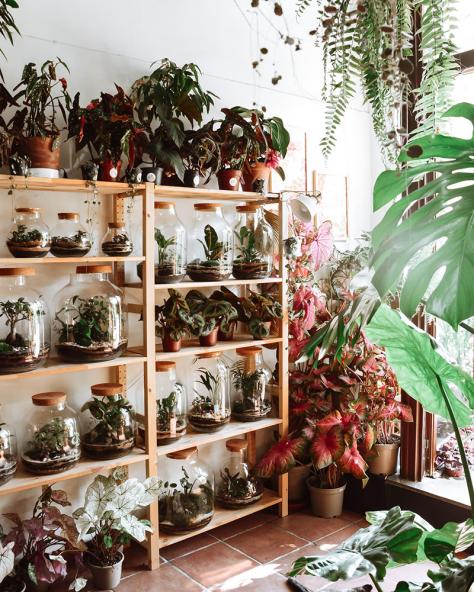 Flors al Mercat  Barcelona plant-based evento Casa Pampa