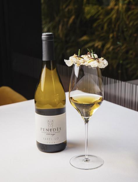 Hotel Wine Fest, vinos, hoteles, tapas, Barcelona, festivales, gastronomía